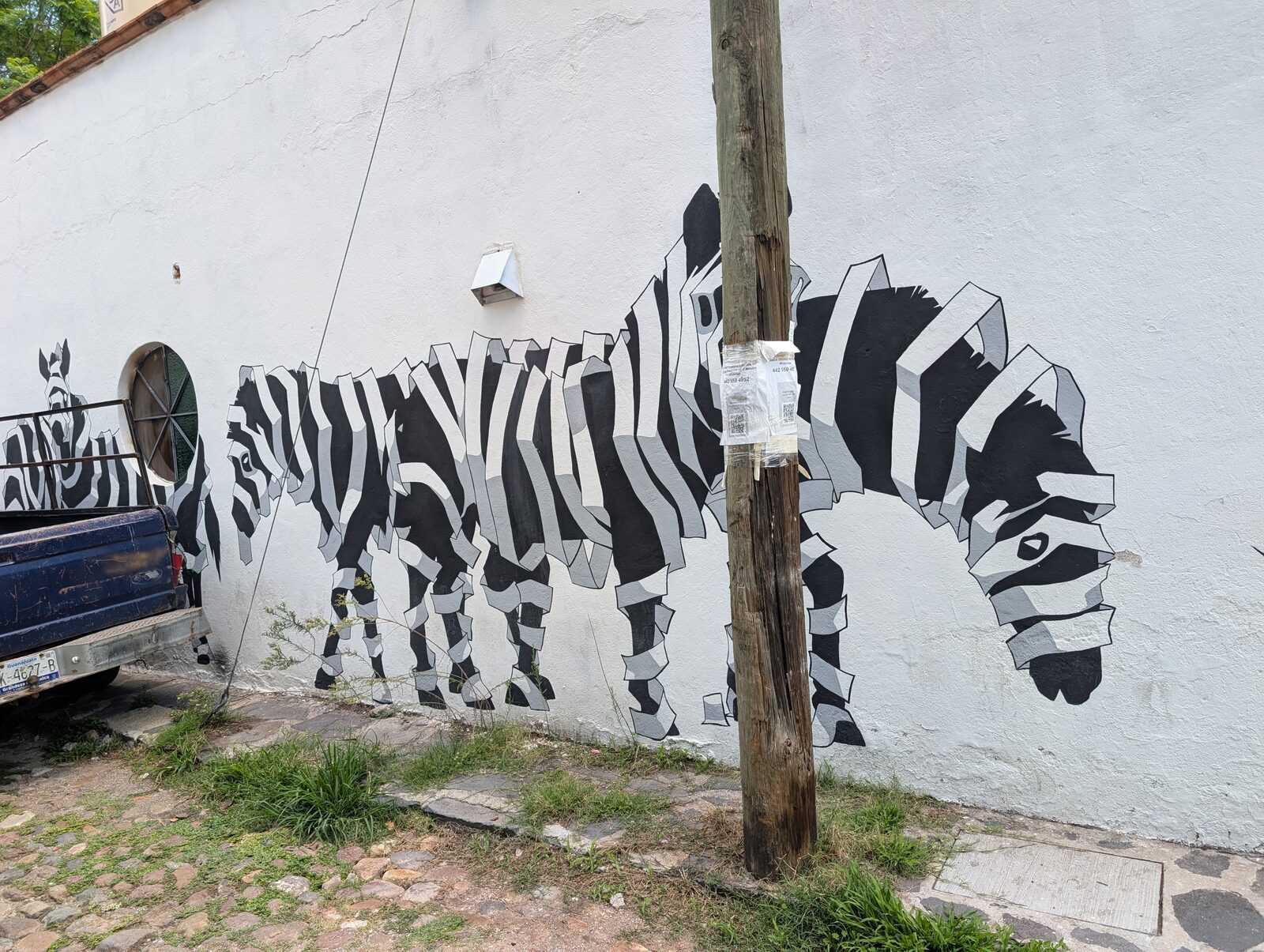 Faceted zebra herd