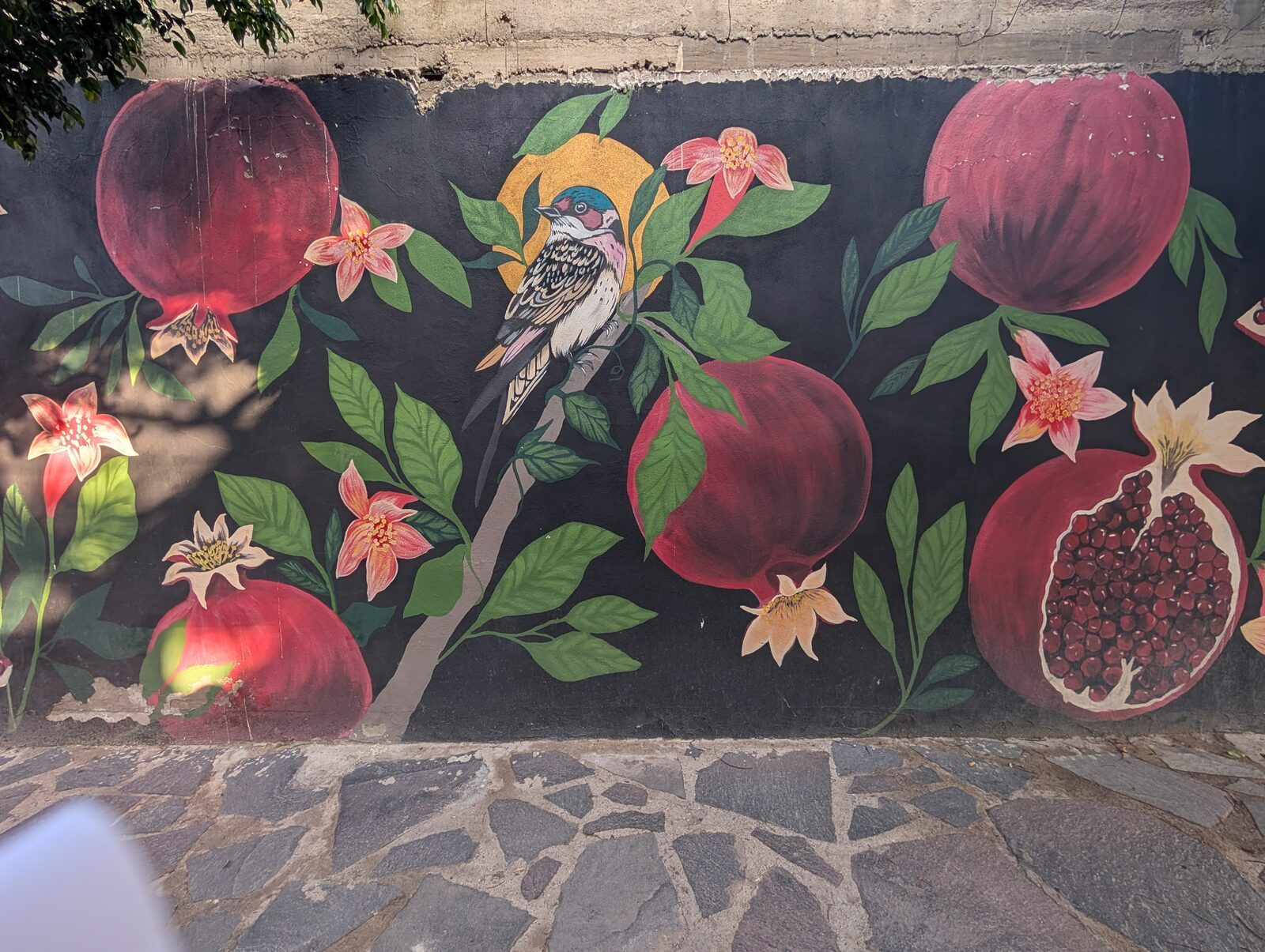 Pomegranates and bird