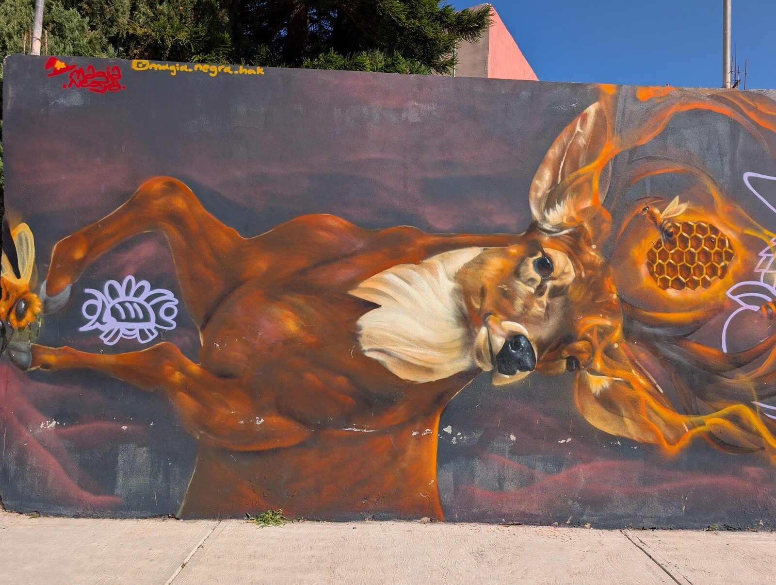 Decaying deer with bees