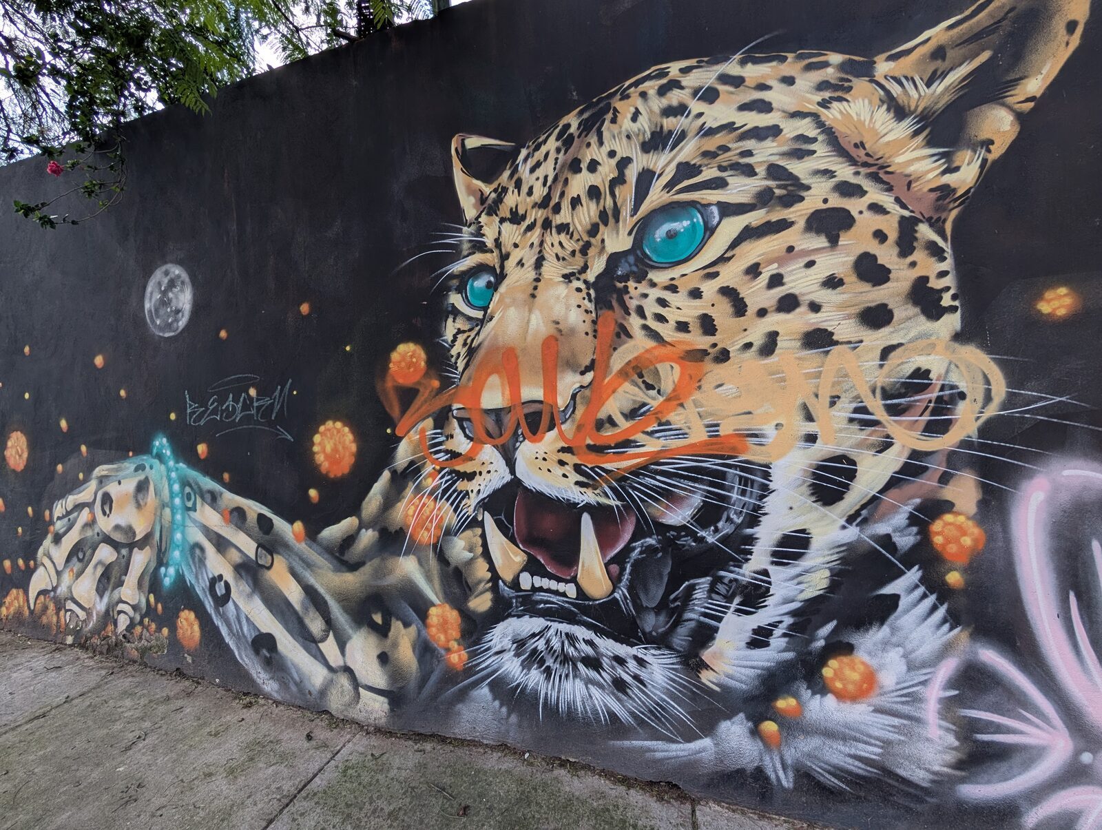 Snarling jaguar