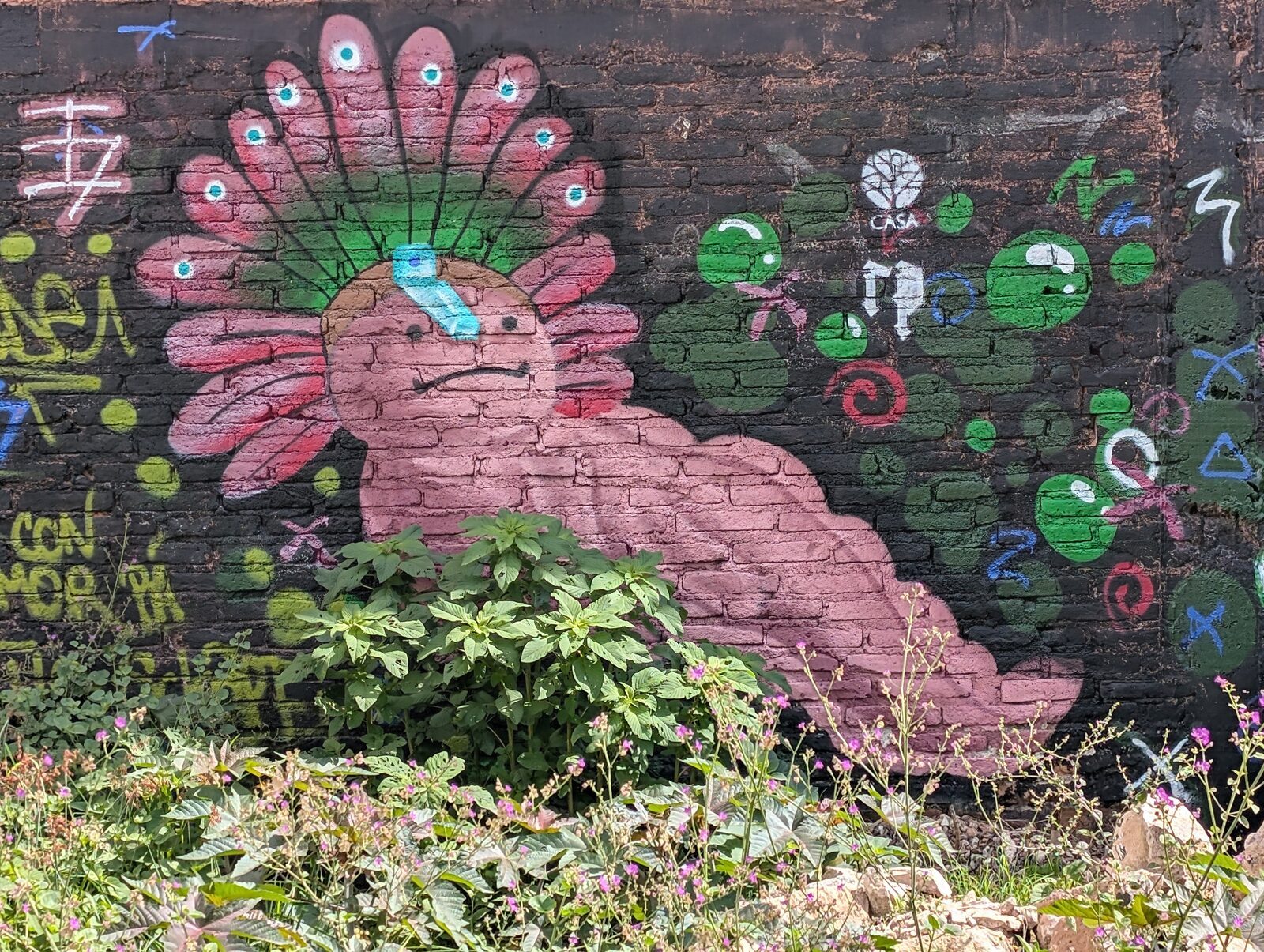 Pink axolotl