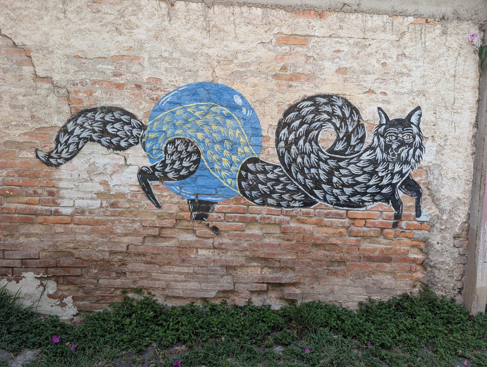 Gato alargado y disco azul