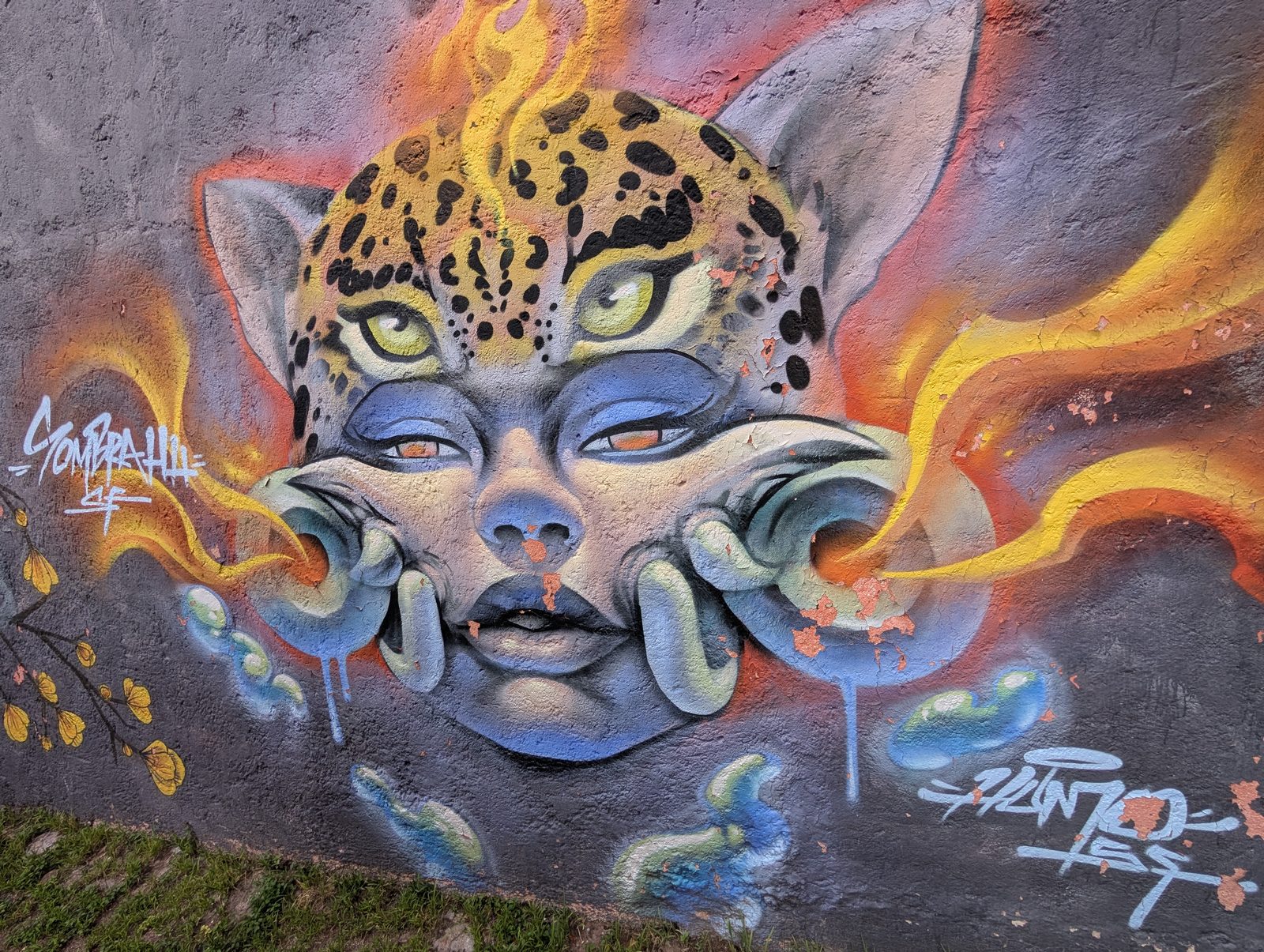 Jaguar-crowned blue face