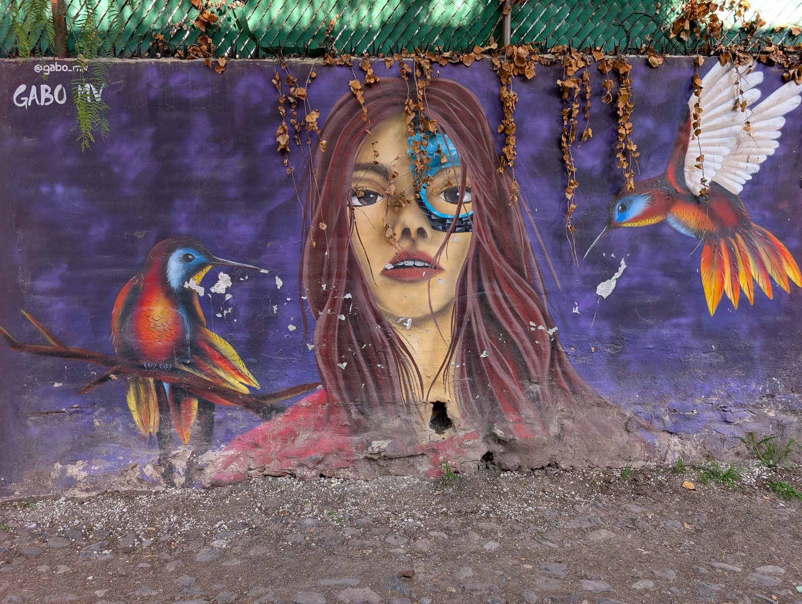 Glitch-eyed woman and hummingbirds