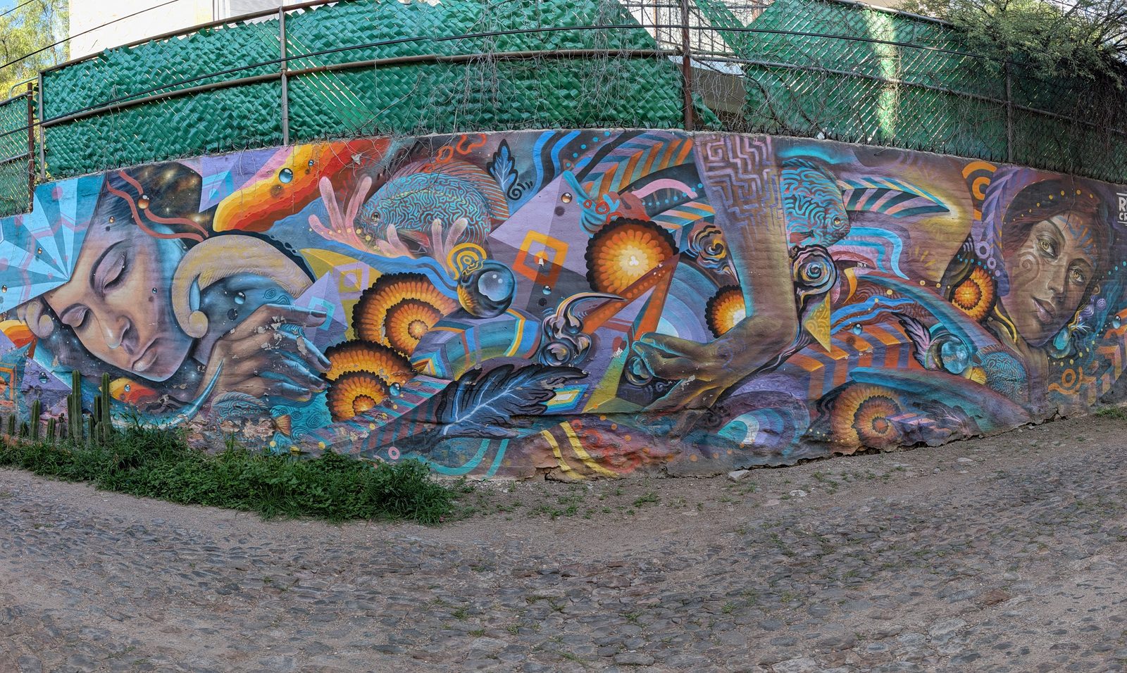 Dreaming faces and ammonites