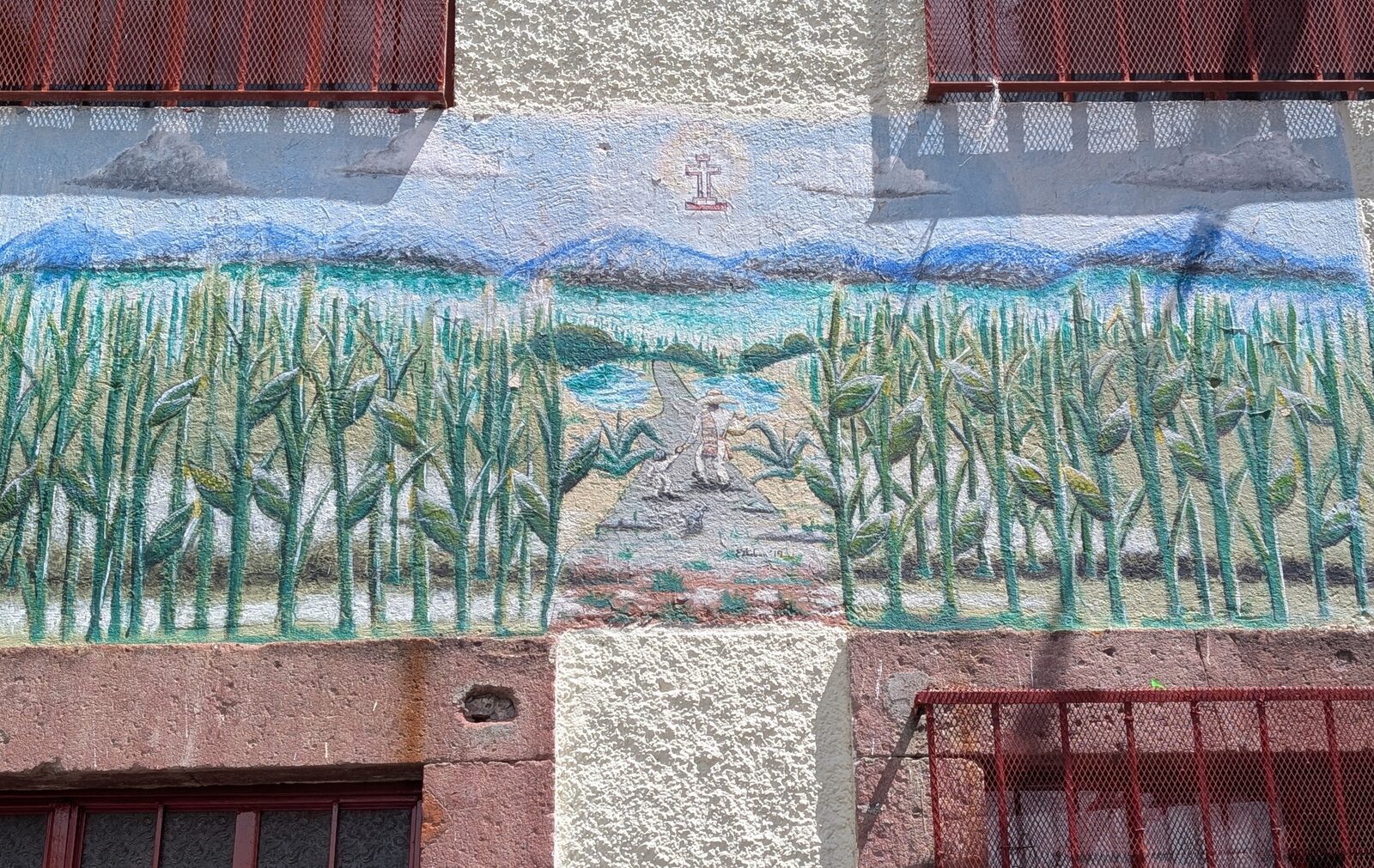 Camino entre la milpa