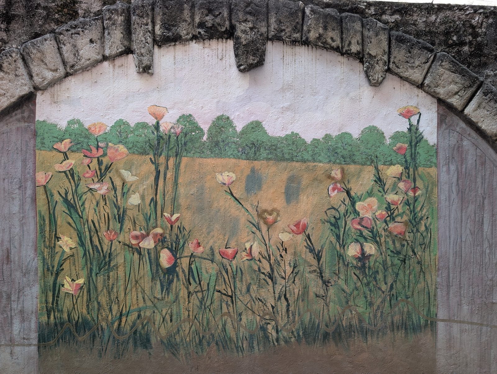 Poppy meadow