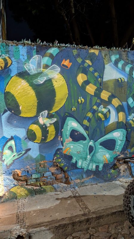 Crystal-winged bees