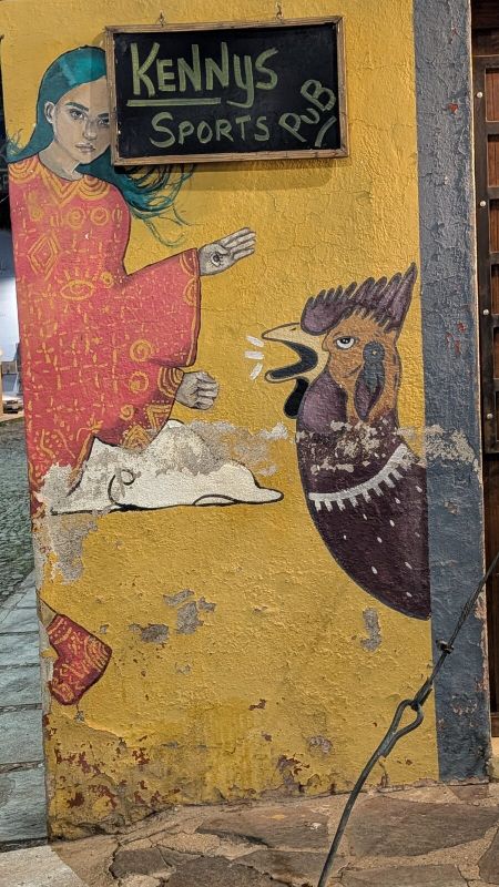 Mujer y gallo