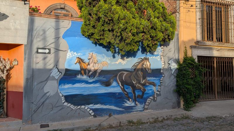 Galloping horses