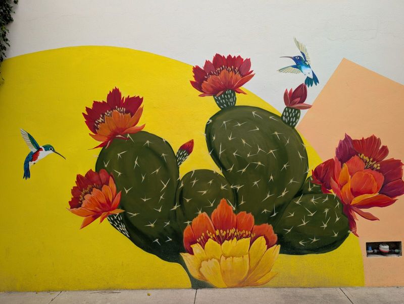 Flowering nopal and hummingbirds