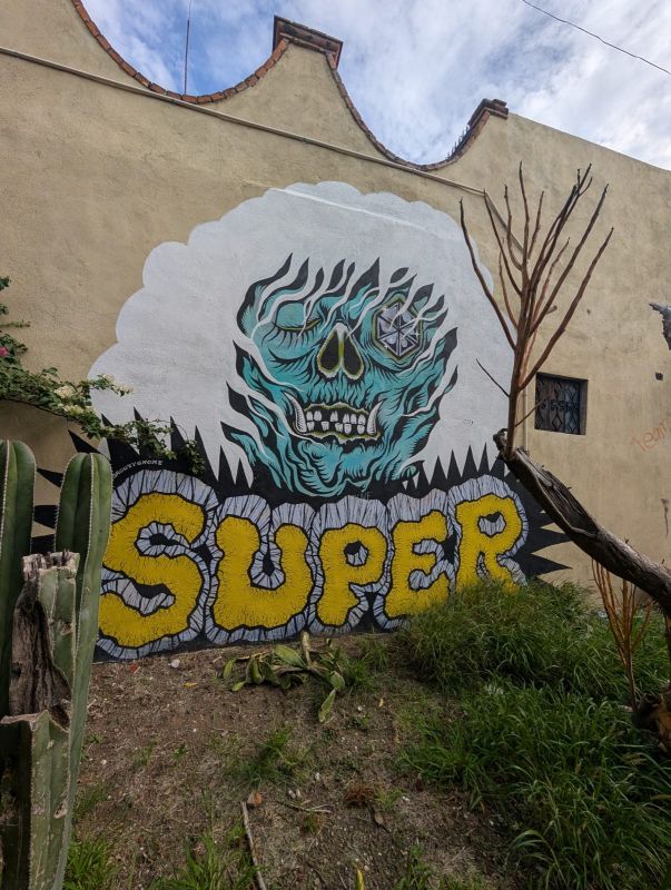 Calavera en llamas SUPER