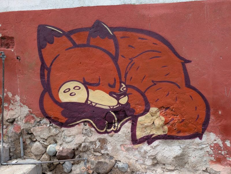 Sleeping fox