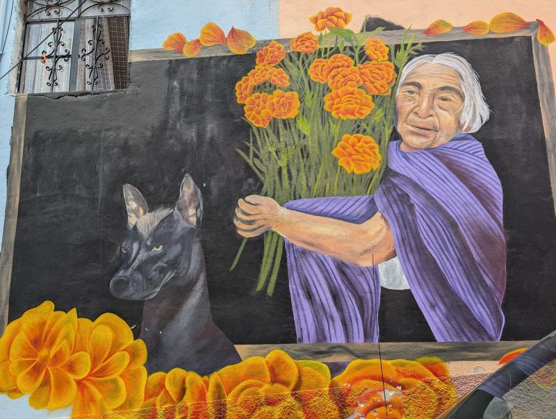 Woman with marigolds and xolo