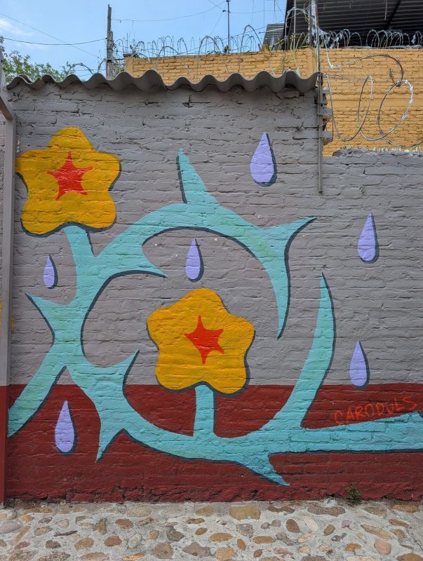 Star flowers and raindrops