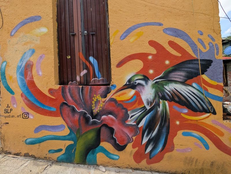 Hummingbird at hibiscus
