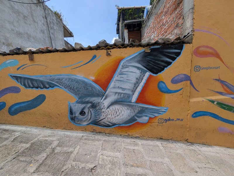 Búho en vuelo