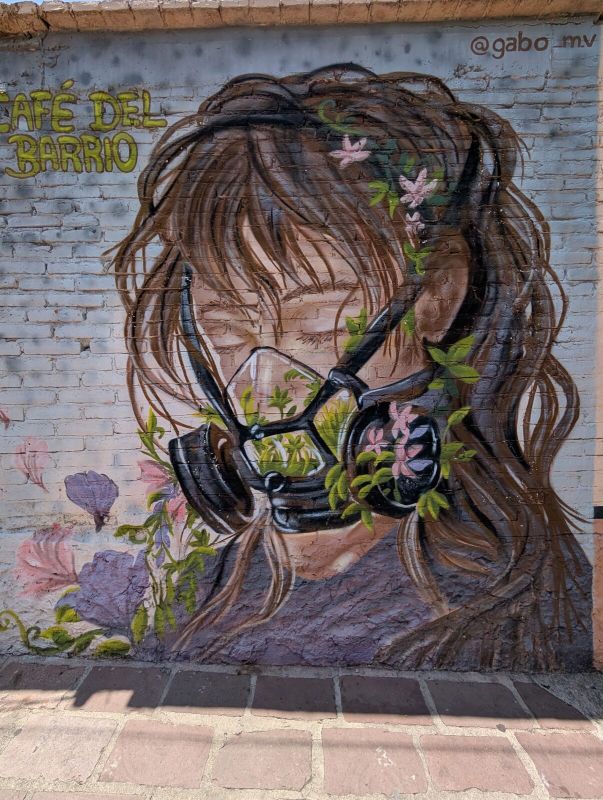 Niña con respirador de plantas
