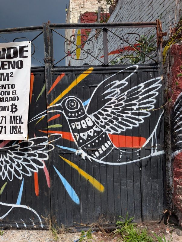 Huichol hummingbird