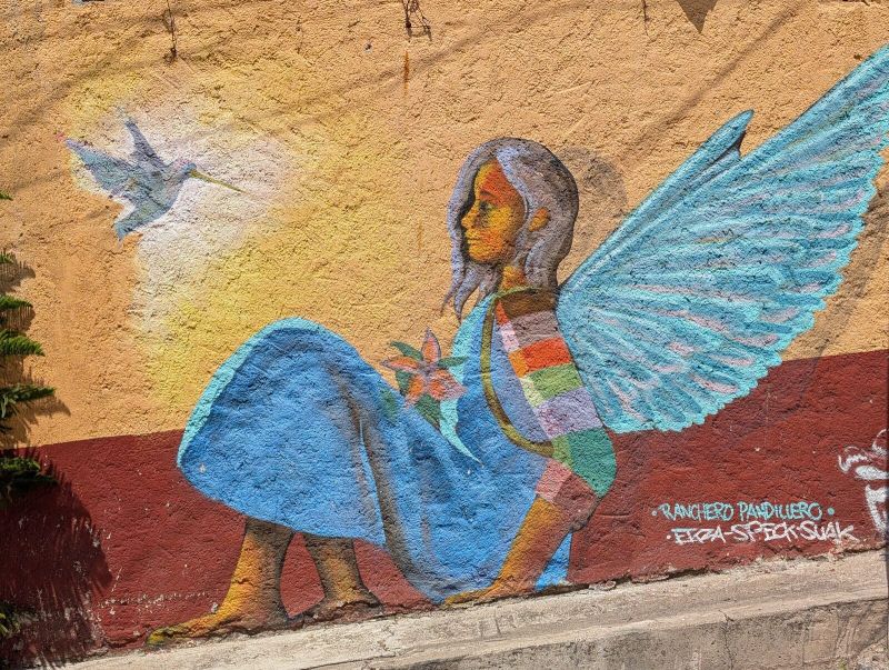 Mujer alada