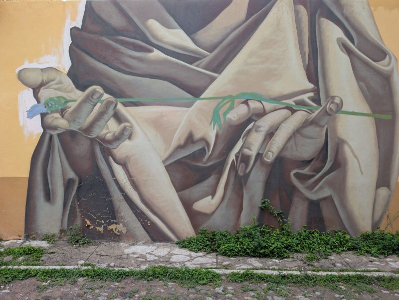 Hands passing a flower