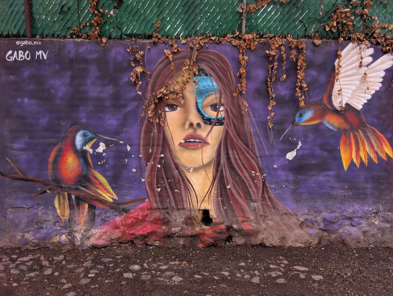 Glitch-eyed woman and hummingbirds