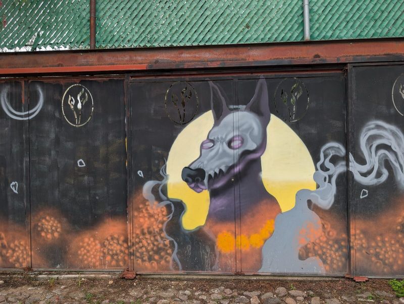 Xolo y luna llena