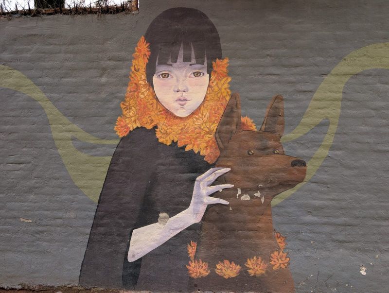 Child and dog in marigolds