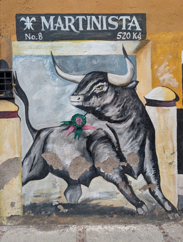 Fighting bull
