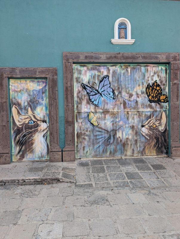 Cats and butterflies