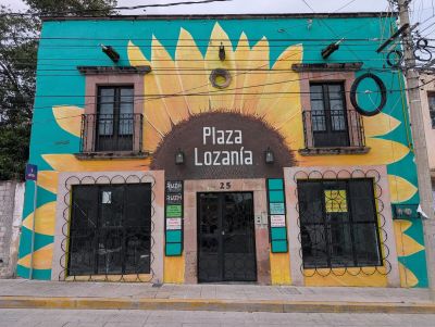 Giant sunflower facade