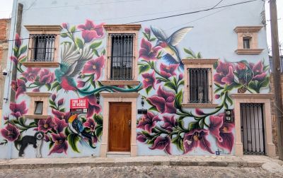 Bougainvillea and hummingbirds