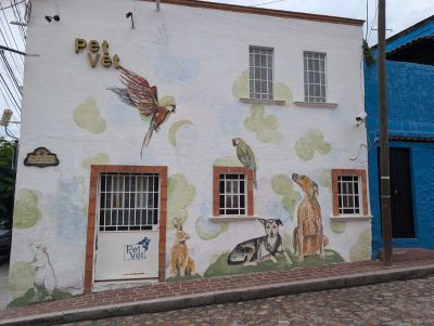 Pet Vet animal facade