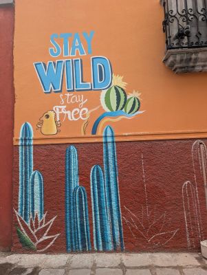 Stay Wild Stay Free cacti