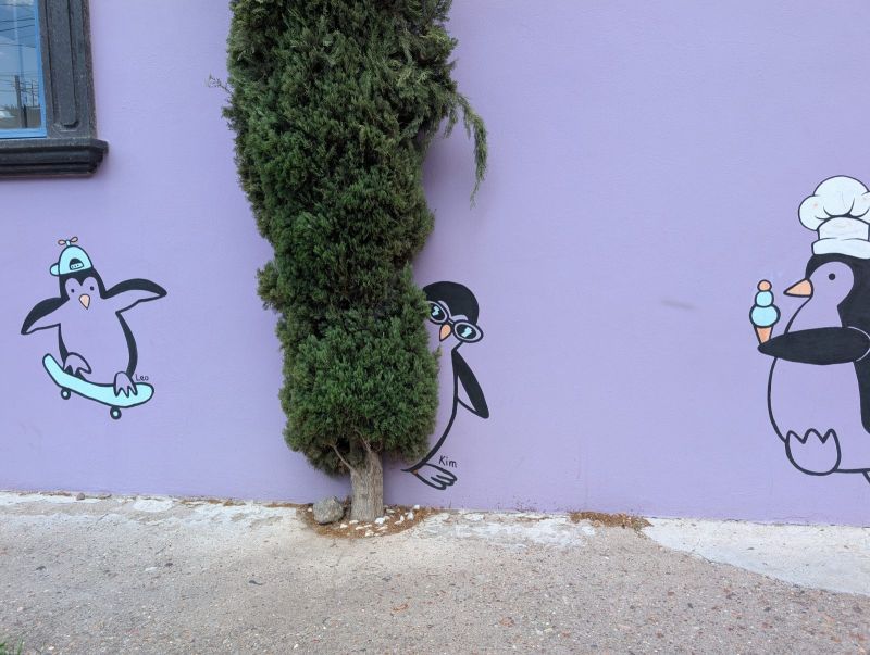 Trio of penguins