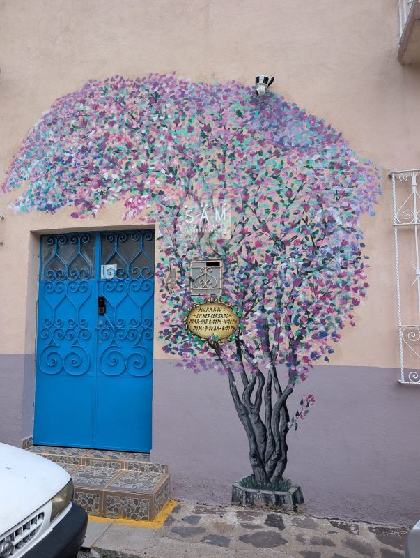 Flowering tree over doorway
