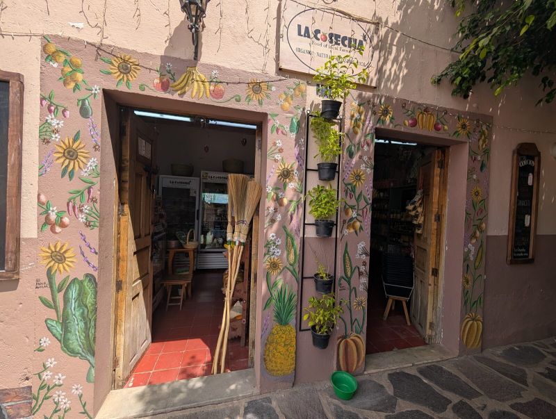 Botanical shopfront border