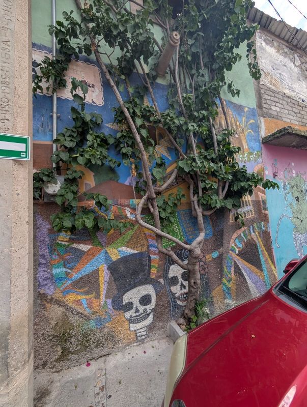 Catrina and catrín skulls