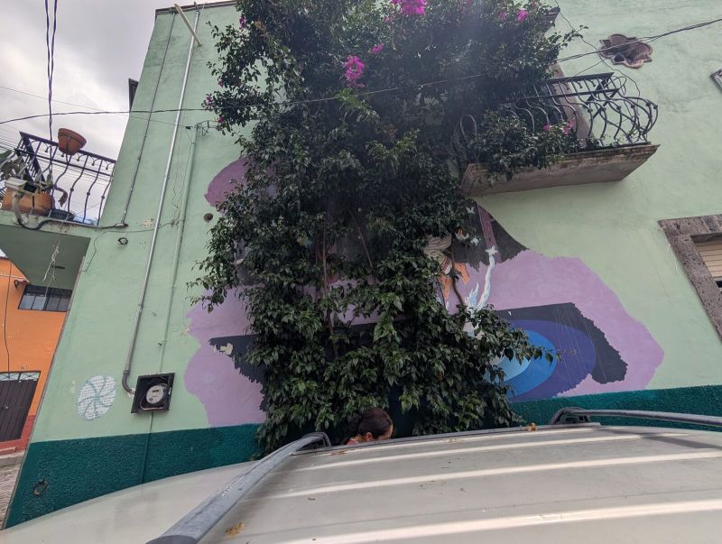 Obscured purple wall