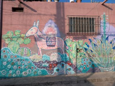 Folk burro among cacti