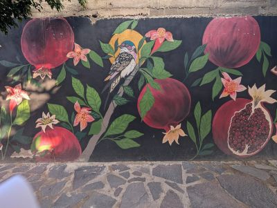 Pomegranates and bird