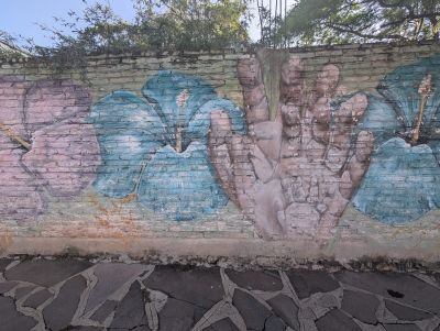 Hands and blossoms