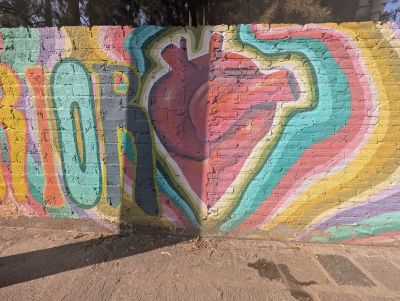 Anatomical heart