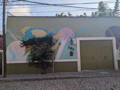 Pastel bloom and hummingbird