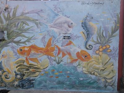 Goldfish and seahorses