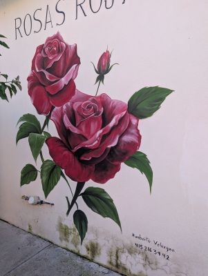 Two red roses