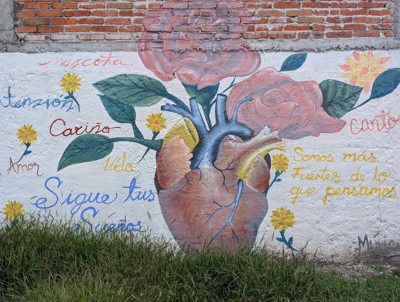 Corazón anatómico con rosas