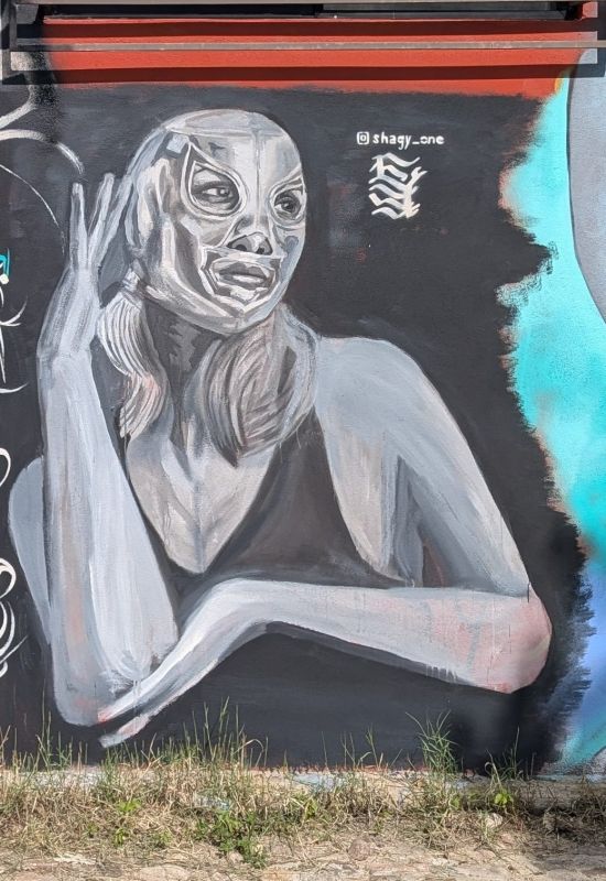 Luchadora enmascarada