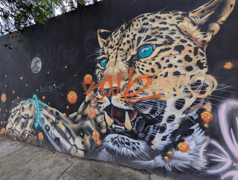 Jaguar gruñendo