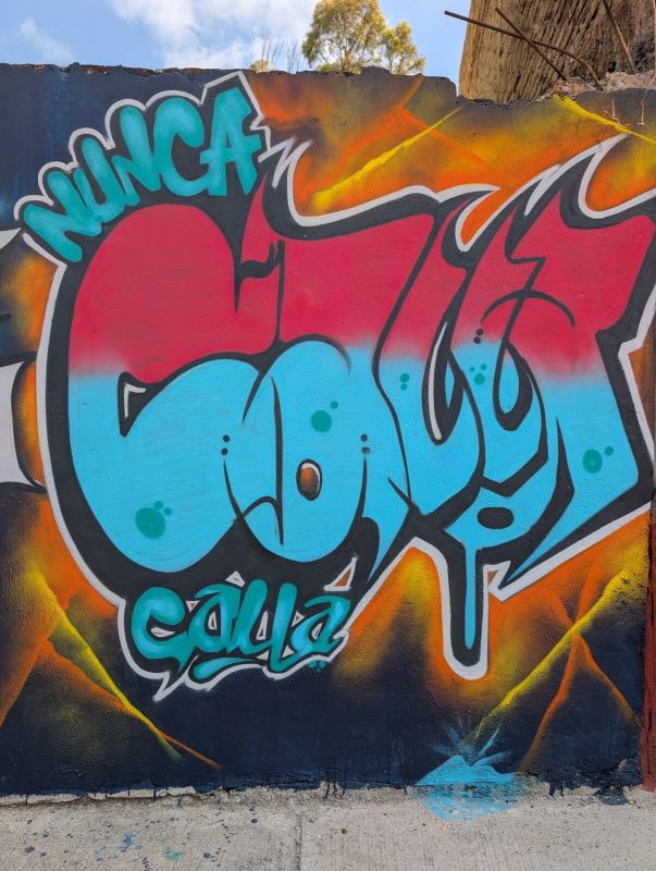 NUNCA CALLA throw-up